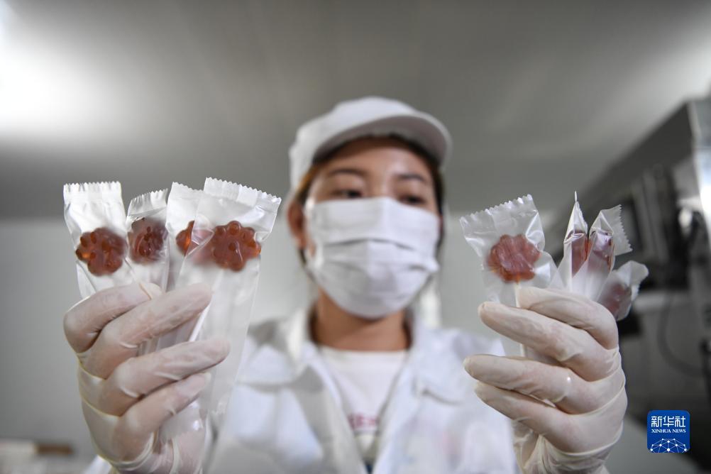 vns威尼斯城官网